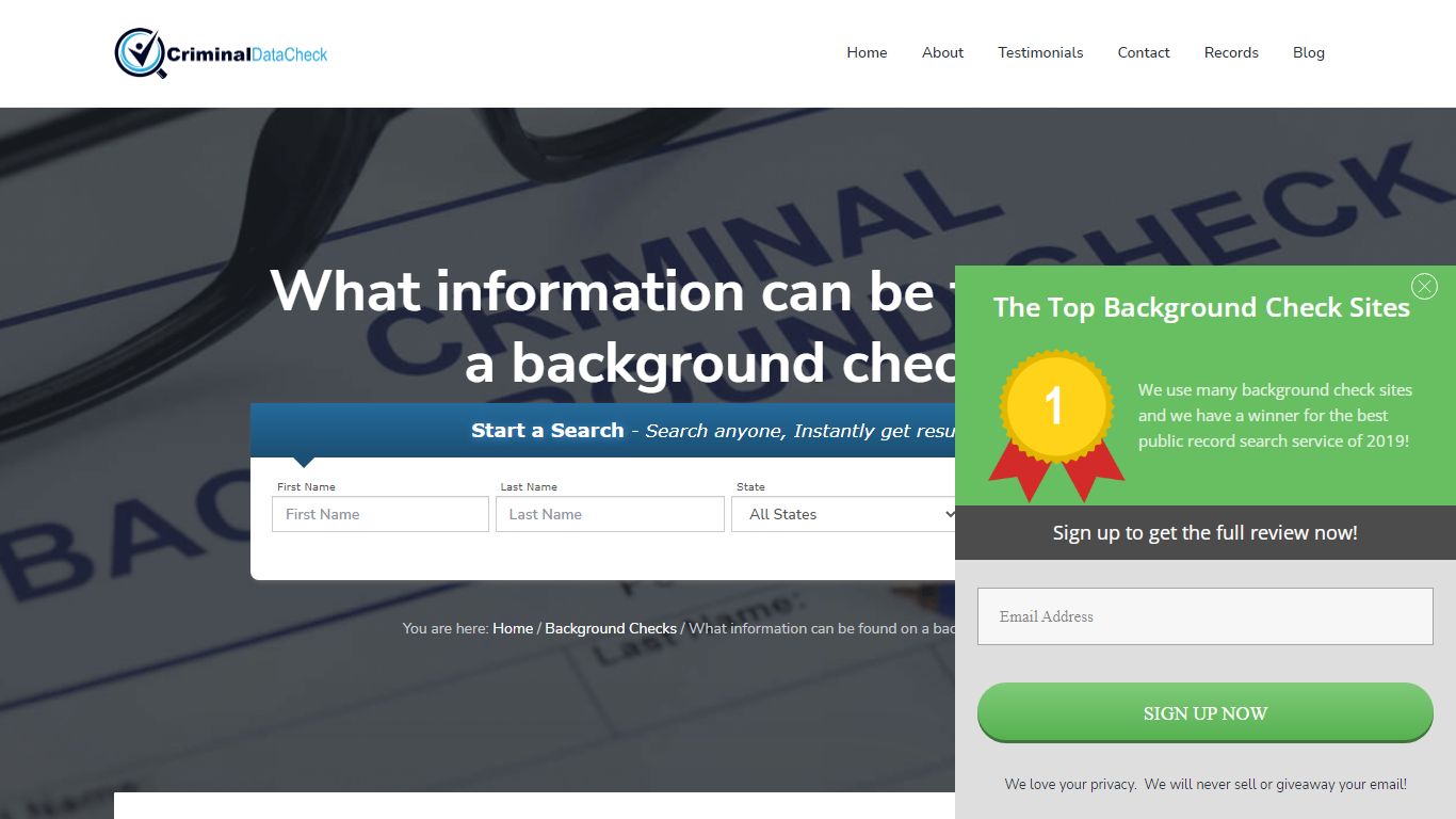 What information can be found on a background check